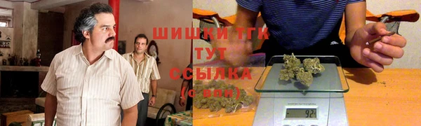 стаф Армянск