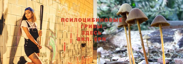ПСИЛОЦИБИНОВЫЕ ГРИБЫ Аркадак