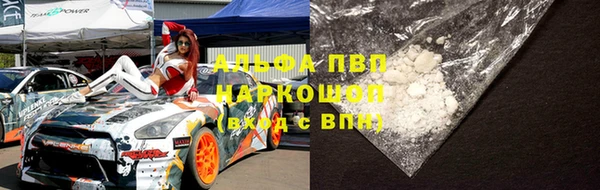 хмурый Арсеньев
