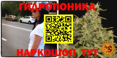 молекула духа Вышний Волочёк