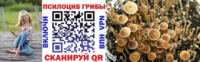 Галлюциногенные грибы прущие грибы KRAKEN ССЫЛКА Одинцово