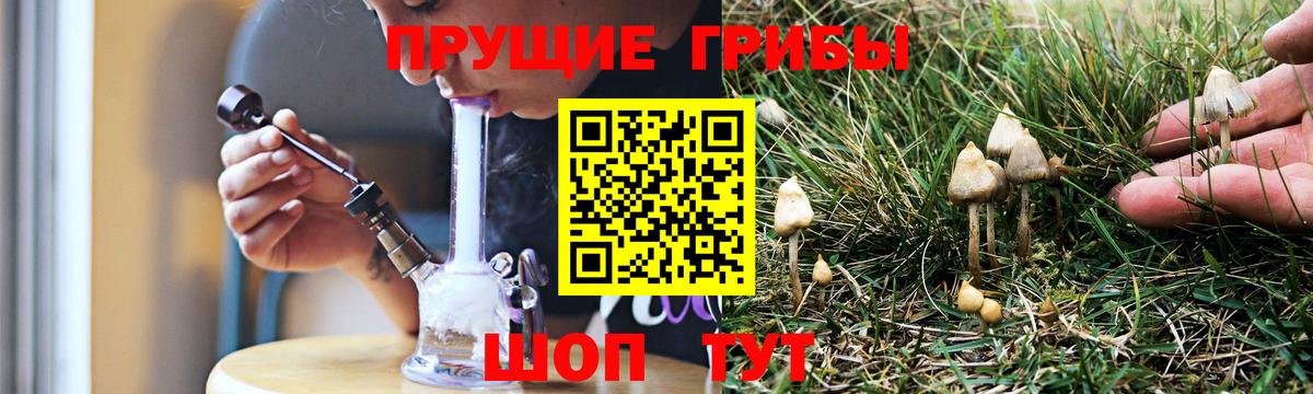 Псилоцибиновые грибы MAGIC MUSHROOMS Одинцово